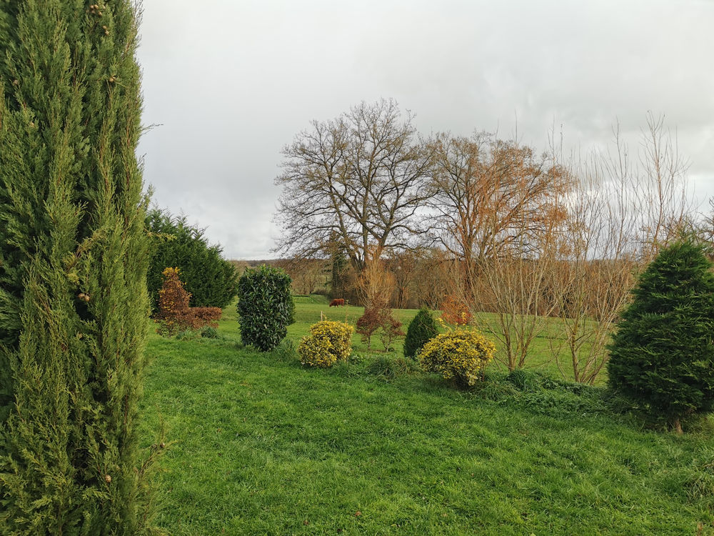 � vendre  Propri�t�/ch�teau La Ch�tre (36400)