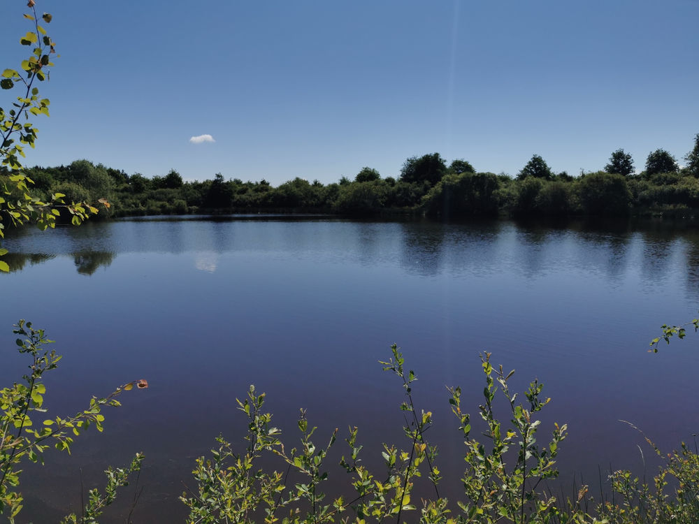 � vendre  Propri�t�/ch�teau Lusigny (03230)