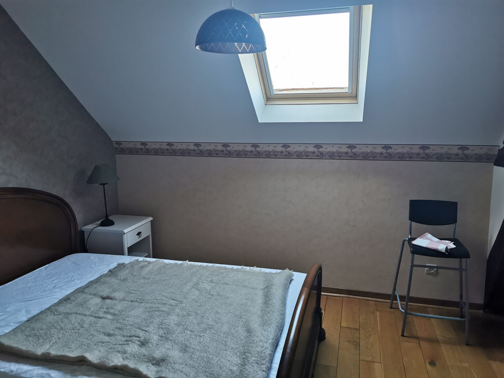 � vendre  Propri�t�/ch�teau Cerelles (37390)