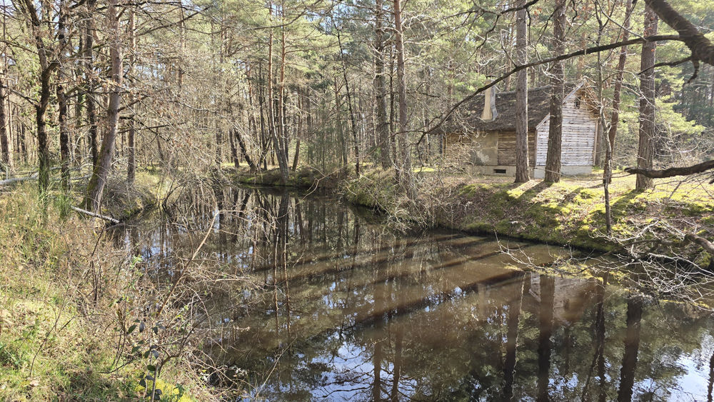 � vendre  Propri�t�/ch�teau Villefranche-sur-Cher (41200)