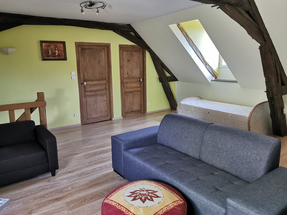 � vendre  Propri�t�/ch�teau Lusigny (03230)