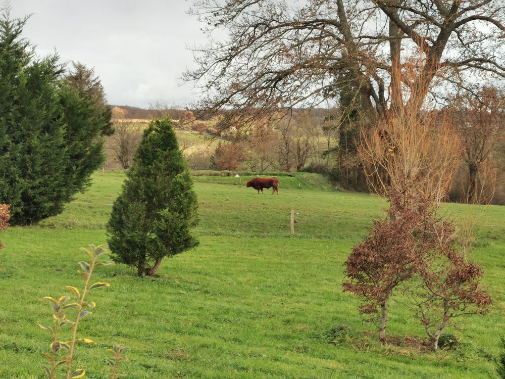 � vendre  Propri�t�/ch�teau La Ch�tre (36400)