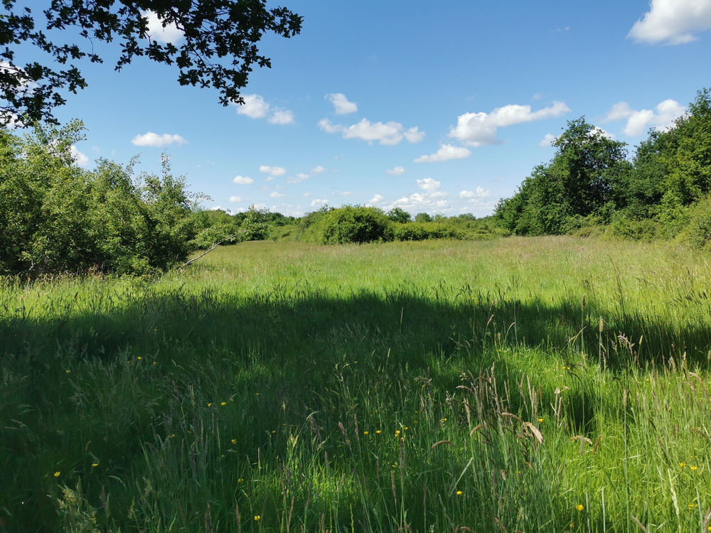 � vendre  Propri�t�/ch�teau Lusigny (03230)