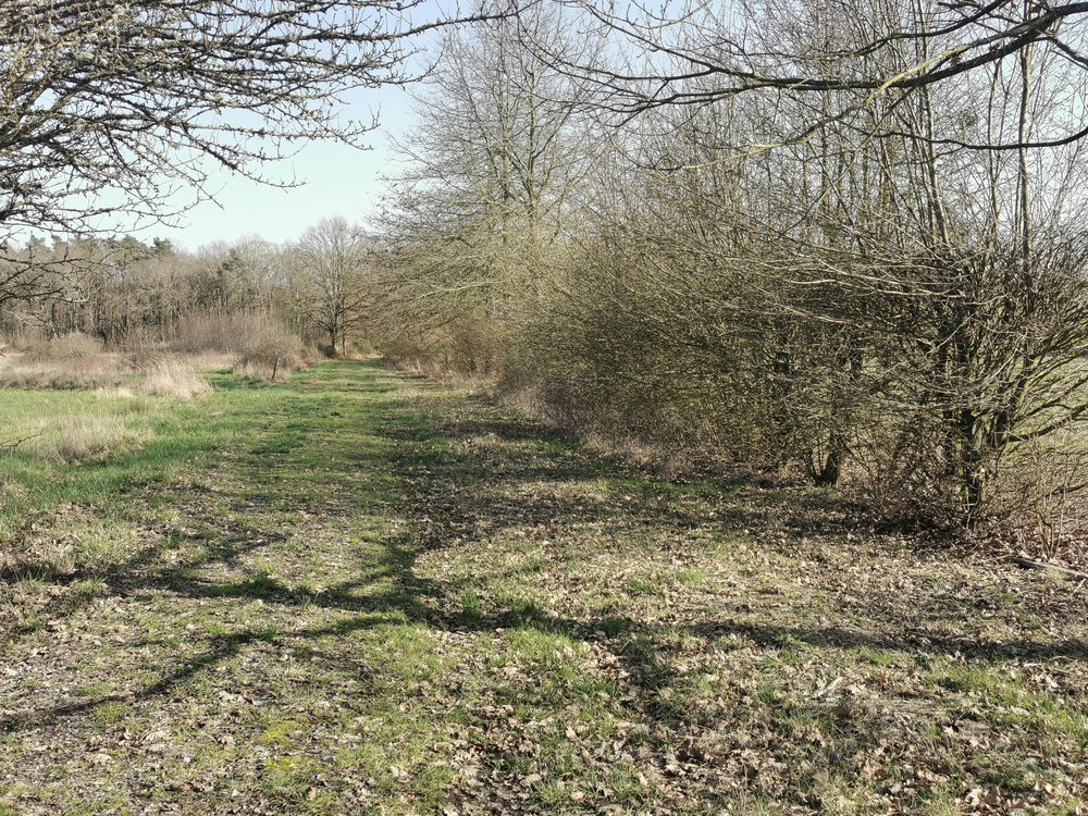 � vendre  Propri�t�/ch�teau Courmemin (41230)