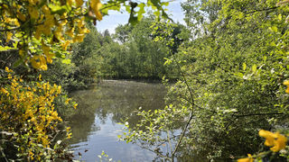  Maison � vendre 7 pi�ces 180 m�