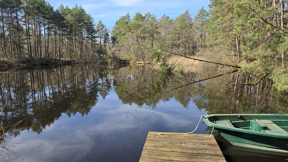 � vendre  Propri�t�/ch�teau Villefranche-sur-Cher (41200)