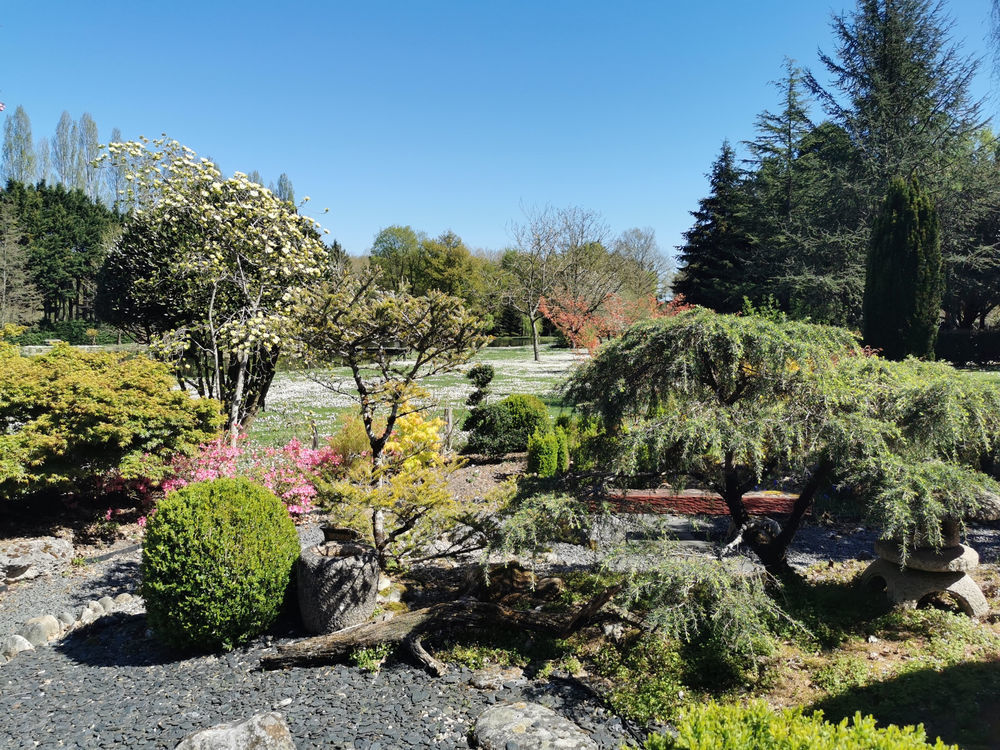 � vendre  Propri�t�/ch�teau Romorantin-Lanthenay (41200)