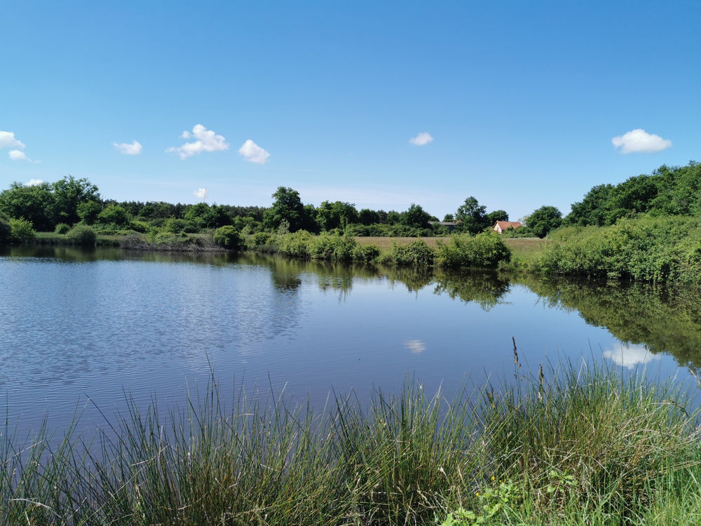 � vendre  Propri�t�/ch�teau Lusigny (03230)