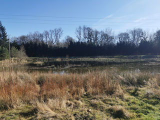  Propri�t�/ch�teau � vendre 6 pi�ces 250 m�