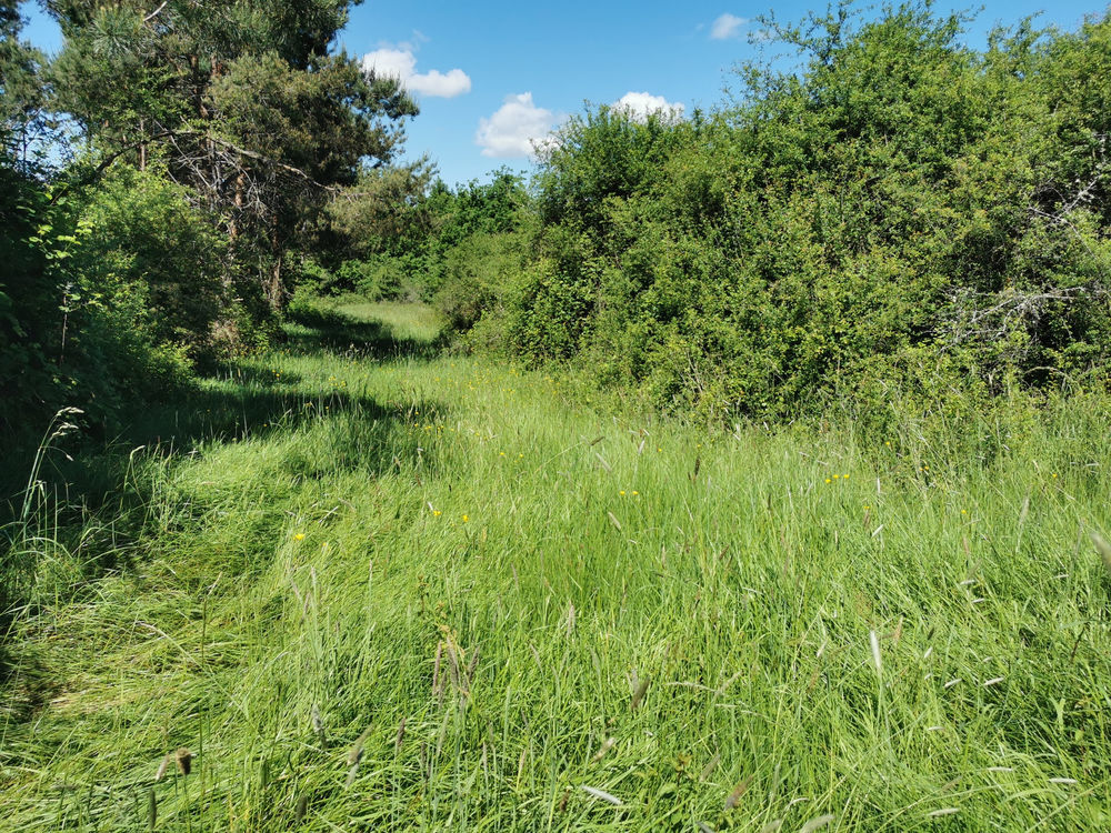 � vendre  Propri�t�/ch�teau Lusigny (03230)