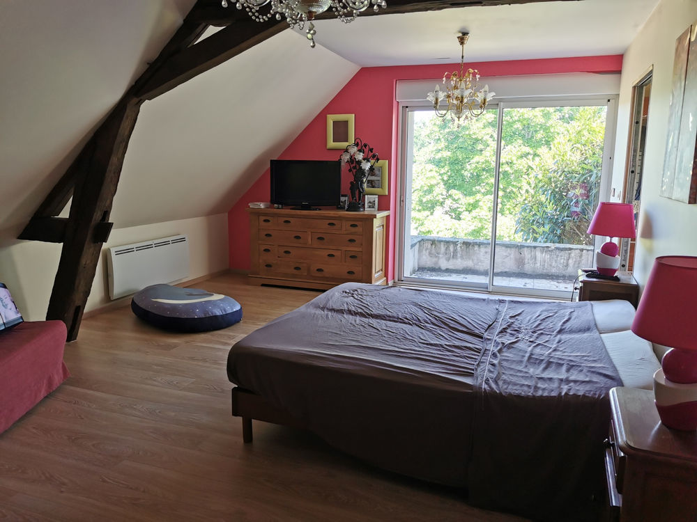 � vendre  Propri�t�/ch�teau Lusigny (03230)