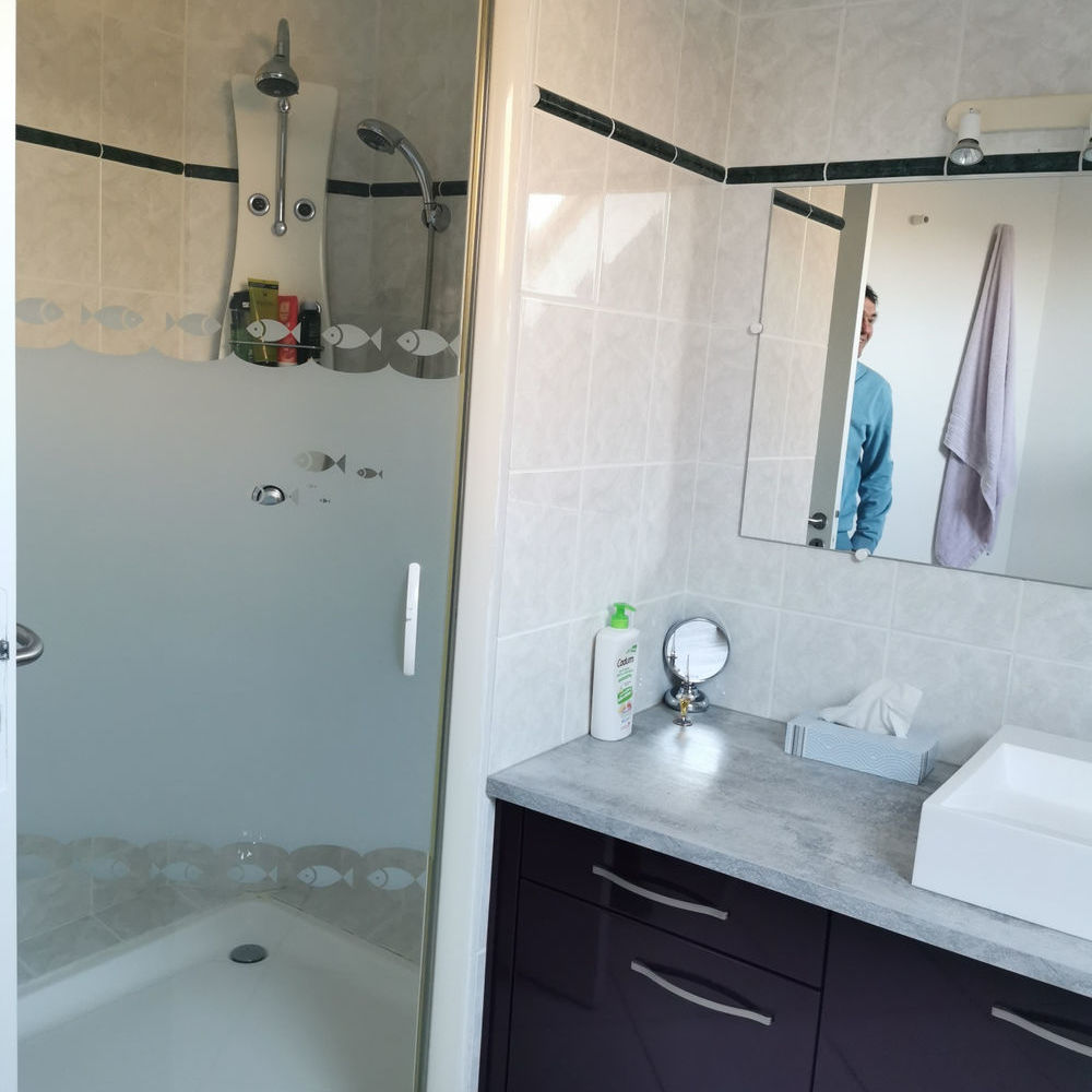 � vendre  Propri�t�/ch�teau Cerelles (37390)