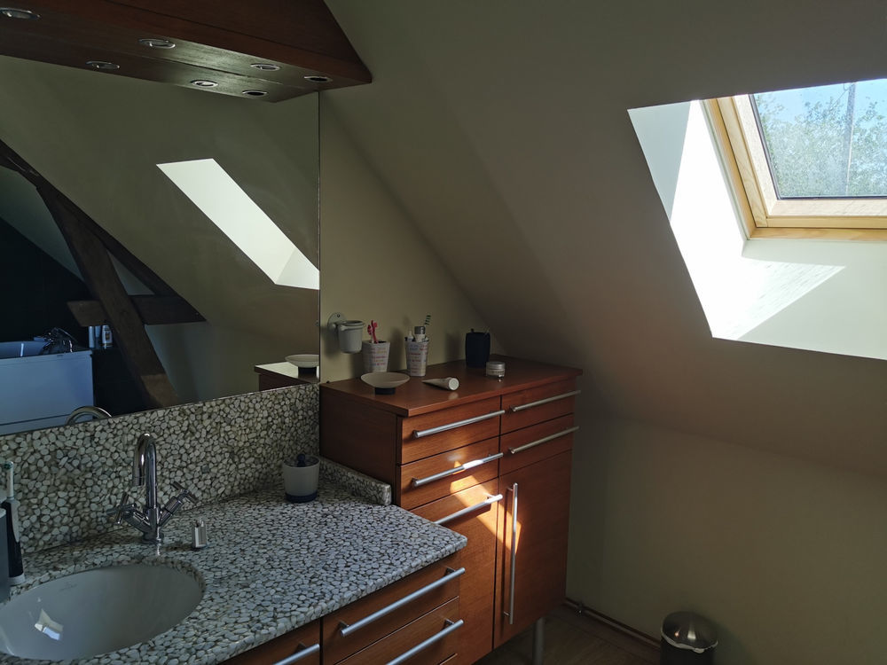 � vendre  Propri�t�/ch�teau Lusigny (03230)