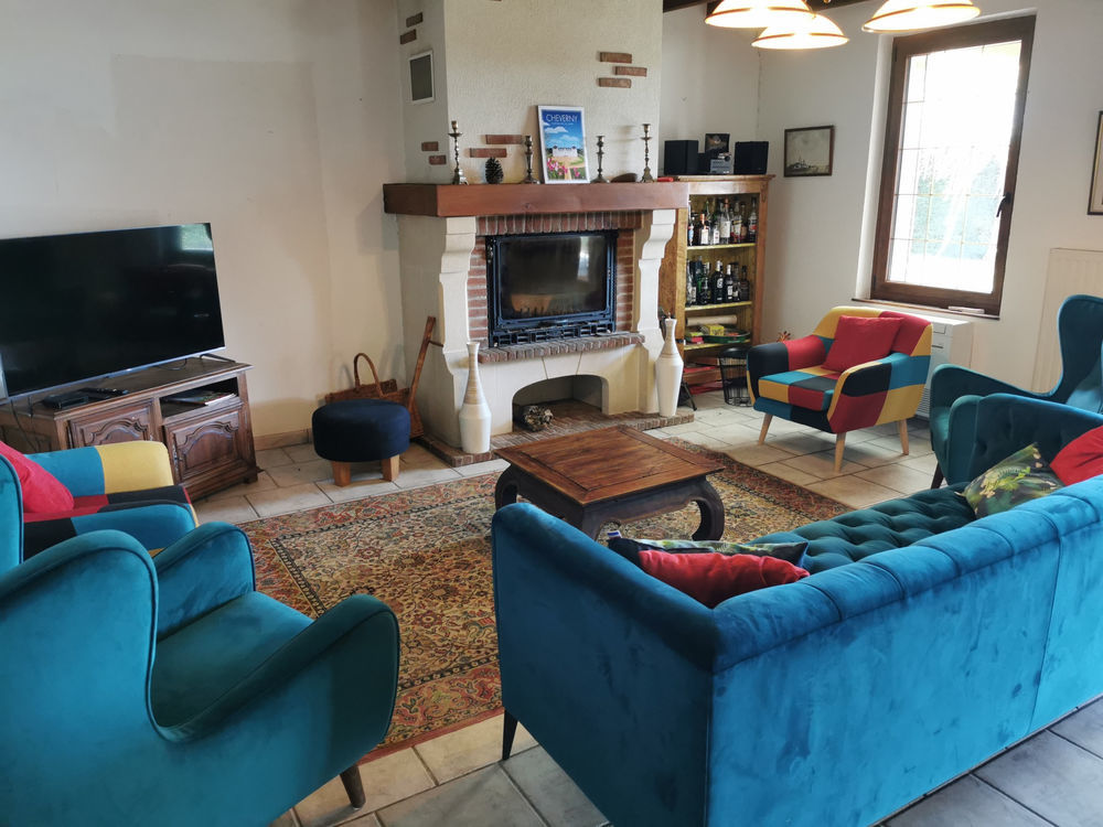 � vendre  Propri�t�/ch�teau Courmemin (41230)