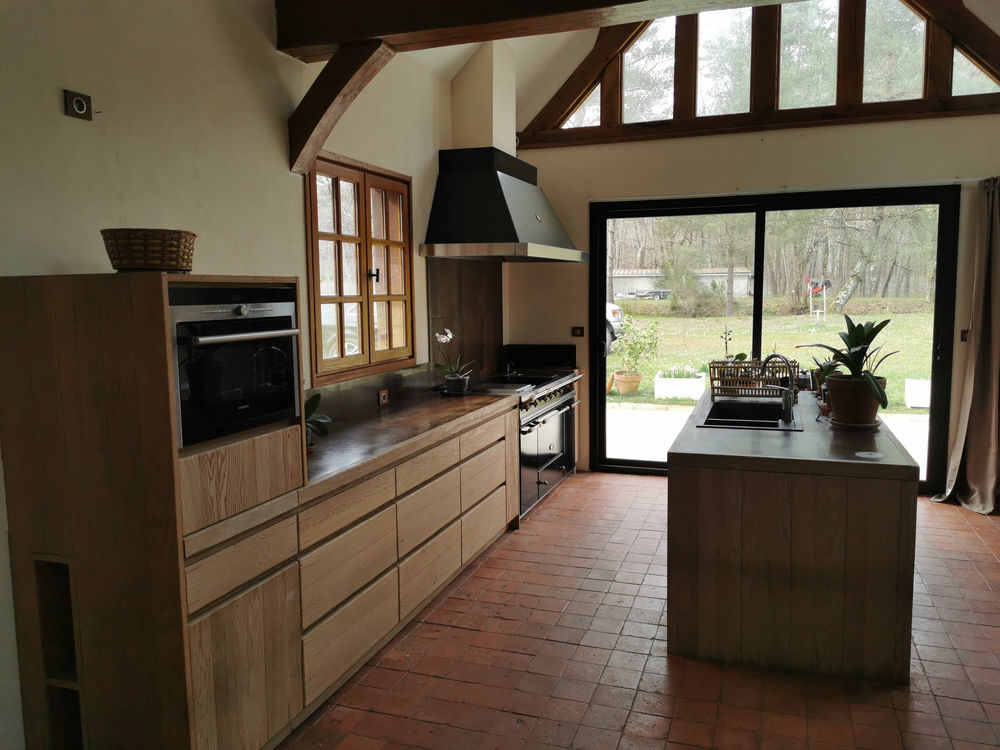 � vendre  Propri�t�/ch�teau Villefranche-sur-Cher (41200)