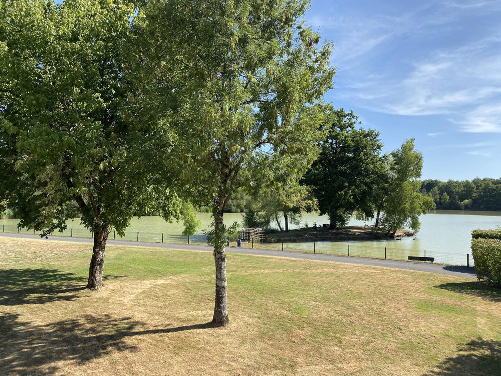 � vendre  Propri�t�/ch�teau Nan�ay (18330)