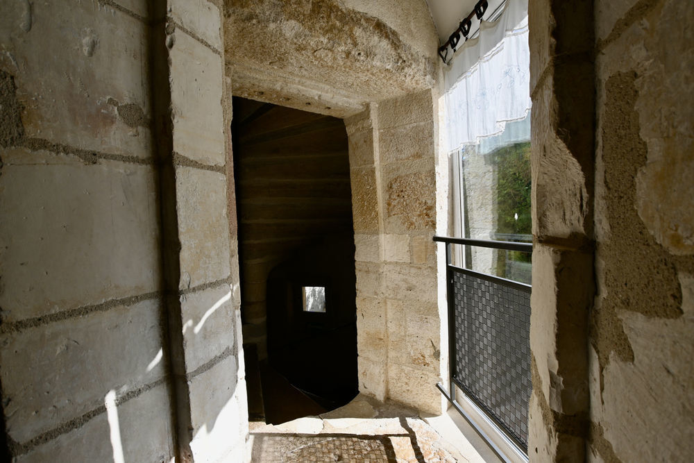 � vendre  Propri�t�/ch�teau Noyers (89310)