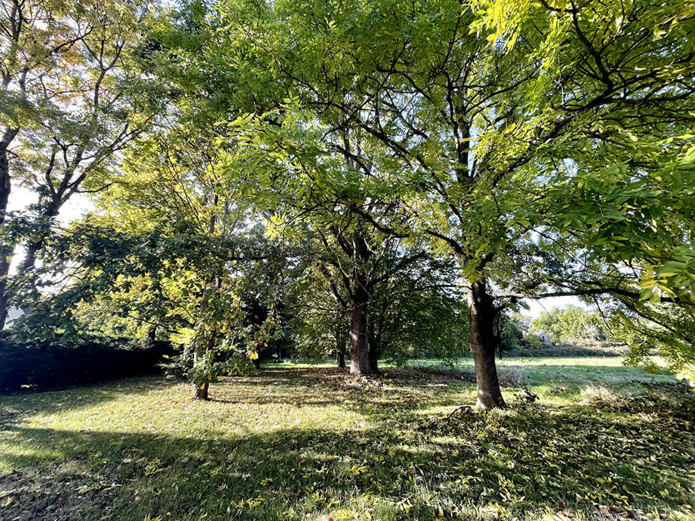 � vendre  Propri�t�/ch�teau Barbizon (77630)