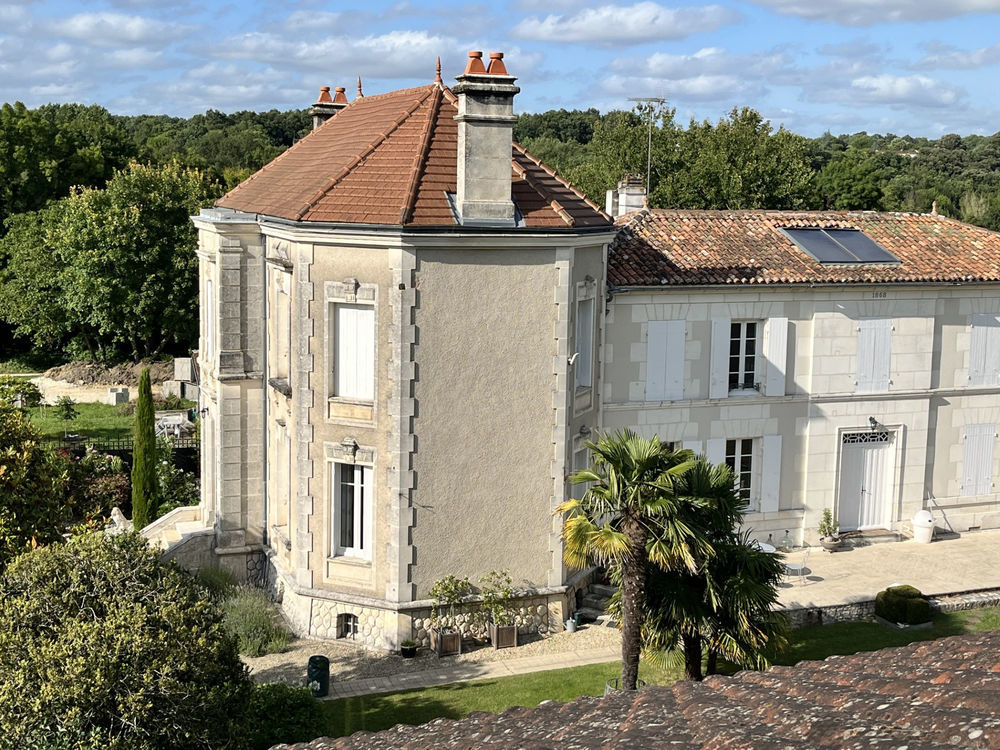 � vendre  Propri�t�/ch�teau Saint-Brice (16100)