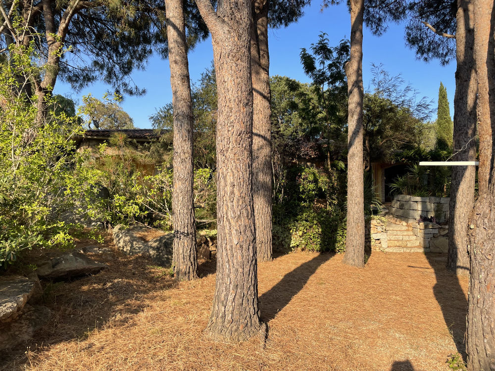 � vendre  Maison Porto-Vecchio (20137)