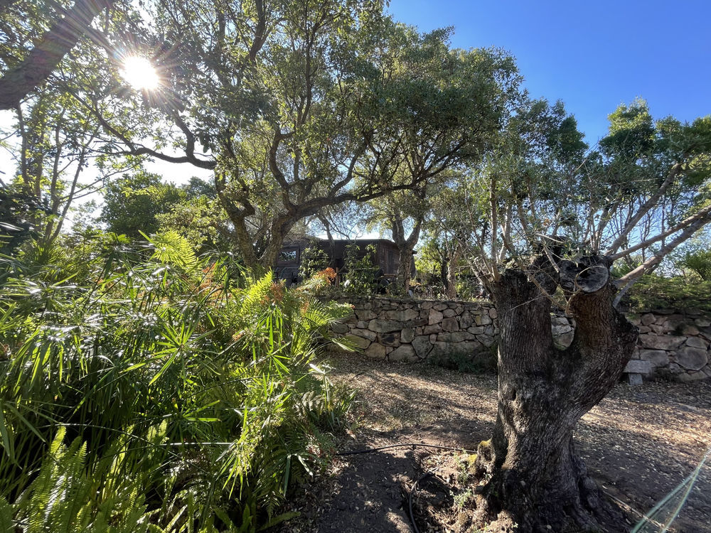 � vendre  Maison Porto-Vecchio (20137)