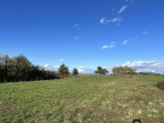  Terrain � vendre 1003 m�