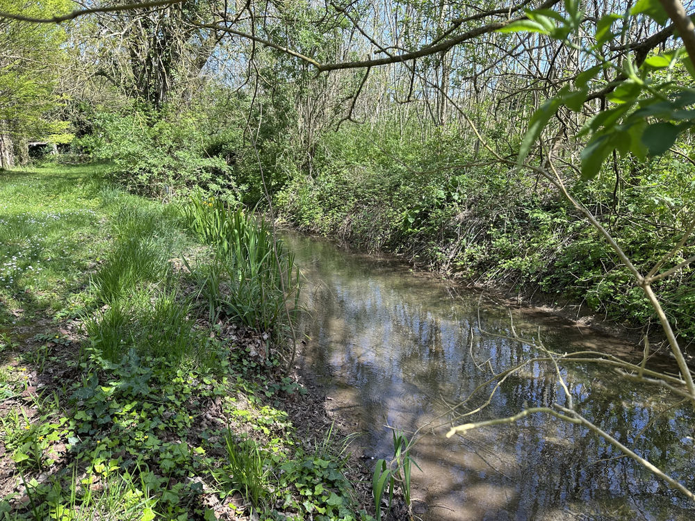 � vendre  Maison Saint-Romain-de-Benet (17600)