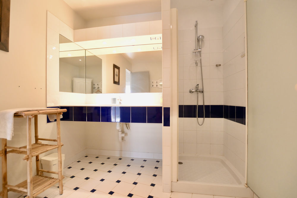 � vendre  Propri�t�/ch�teau Noyers (89310)