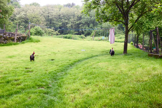  Maison � vendre 11 pi�ces 250 m�