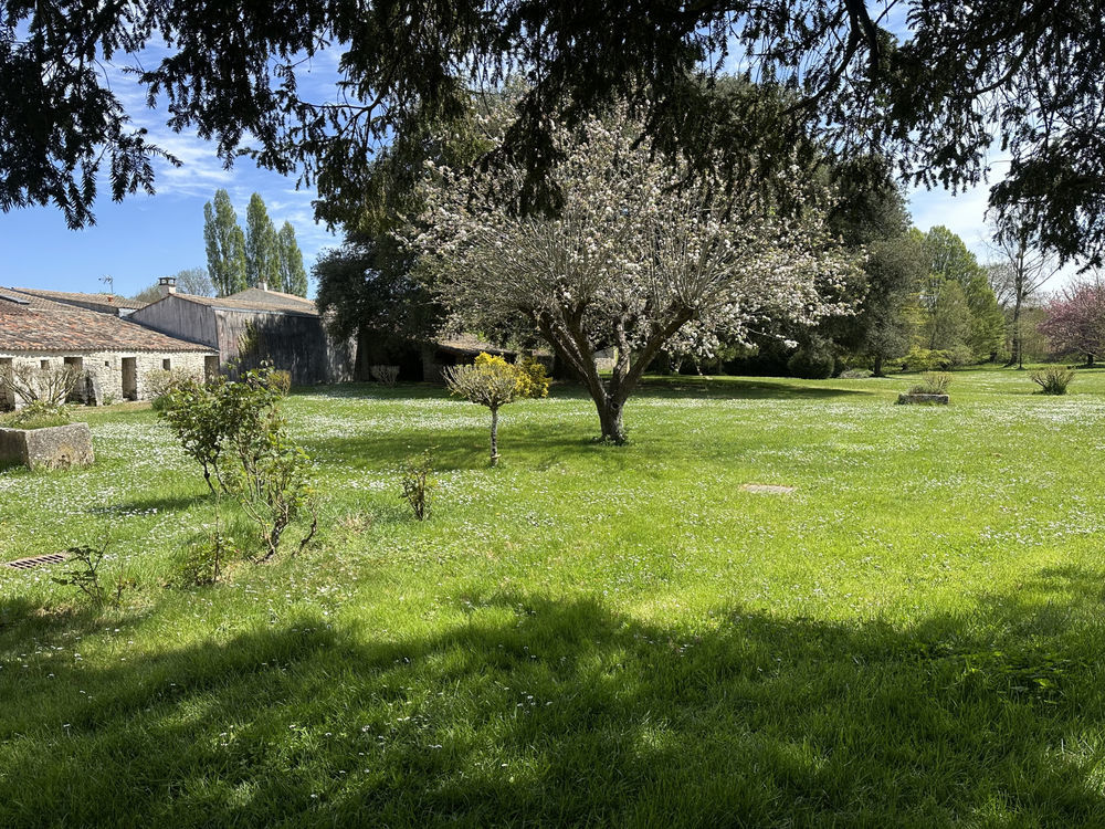 � vendre  Maison Saint-Romain-de-Benet (17600)