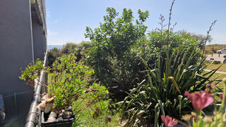  Appartement � vendre 1 pi�ce 31 m�