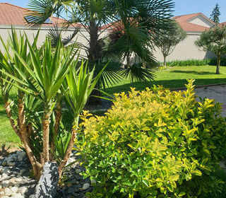  Maison � vendre 7 pi�ces 165 m�