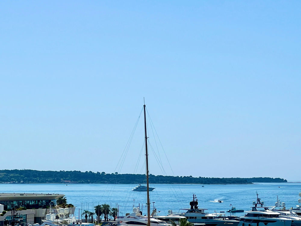 � vendre  Appartement Cannes (06400)
