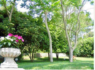  Maison � vendre 7 pi�ces 275 m�