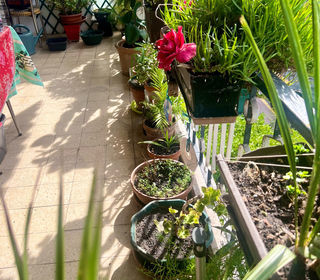  Appartement � vendre 4 pi�ces 91 m�