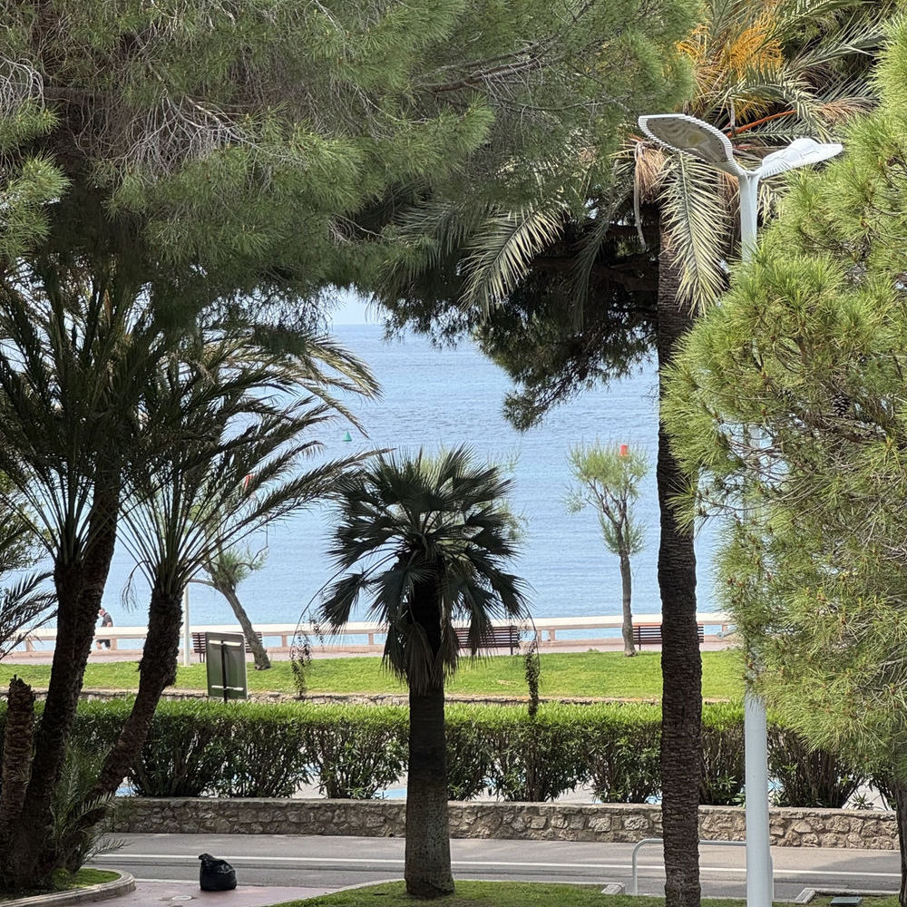 � vendre  Appartement Cannes (06400)