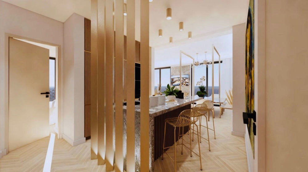 � vendre  Duplex/triplex Cannes (06400)