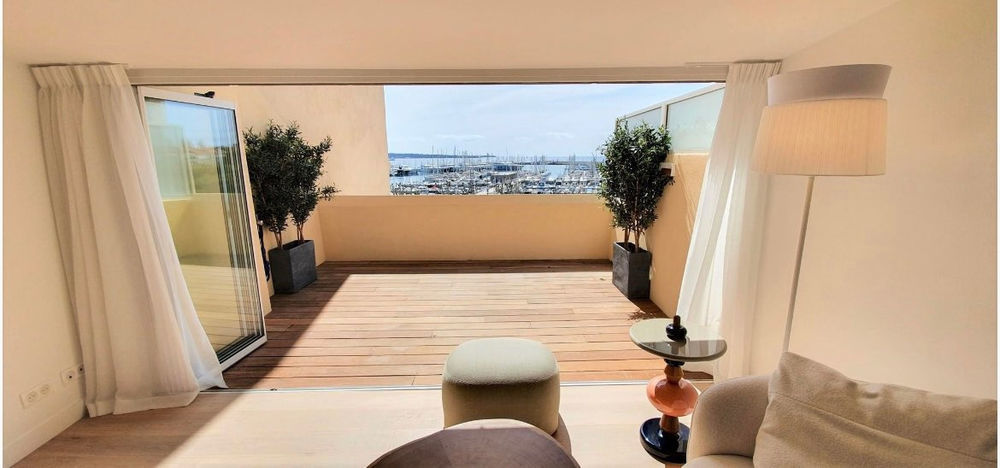 � vendre  Duplex/triplex Cannes (06400)