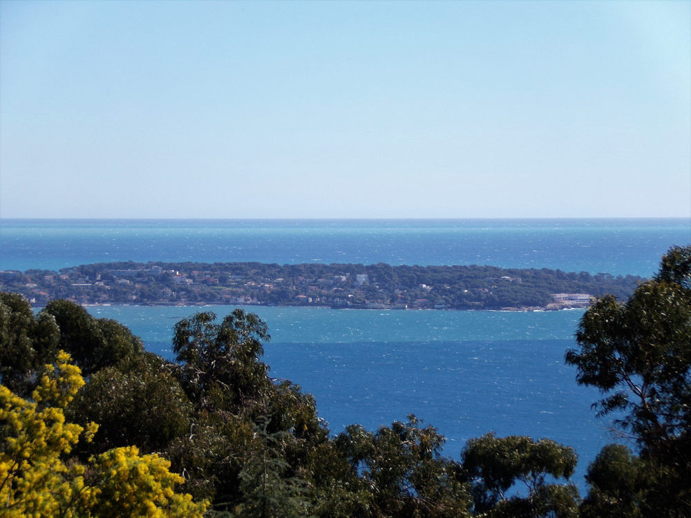 � vendre  Maison Vallauris (06220)