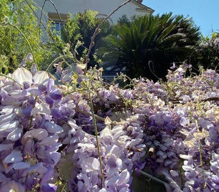  Maison � vendre 5 pi�ces 140 m�