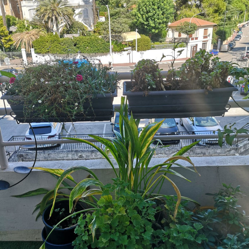 � vendre  Duplex/triplex Cannes (06400)