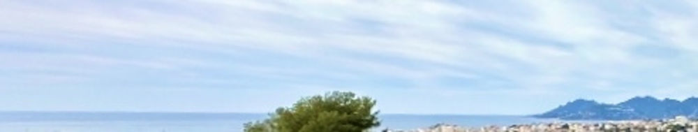 � vendre  Appartement Le Cannet (06110)