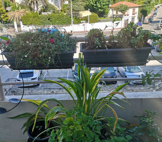  Duplex/triplex � vendre 7 pi�ces 230 m�