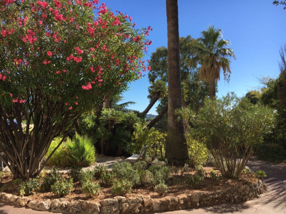 � vendre  Appartement Cannes (06400)