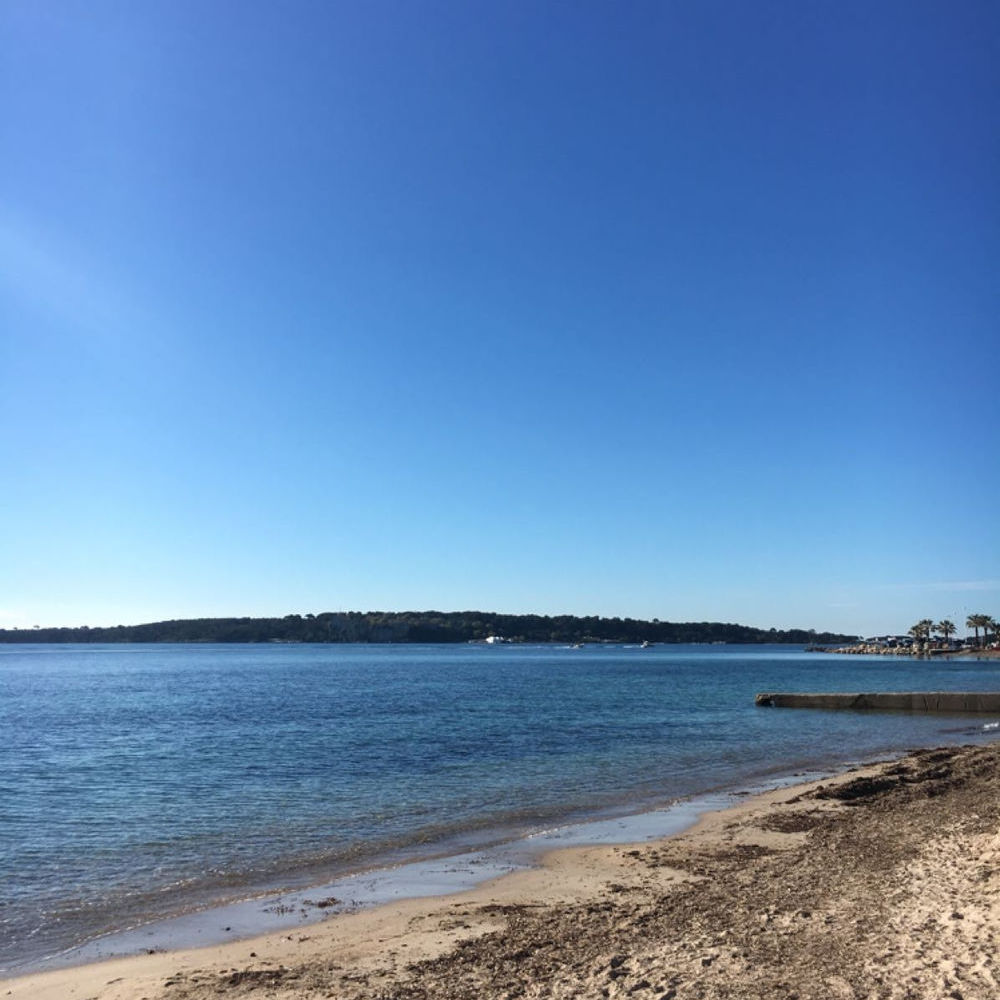 � vendre  Maison Cannes (06400)