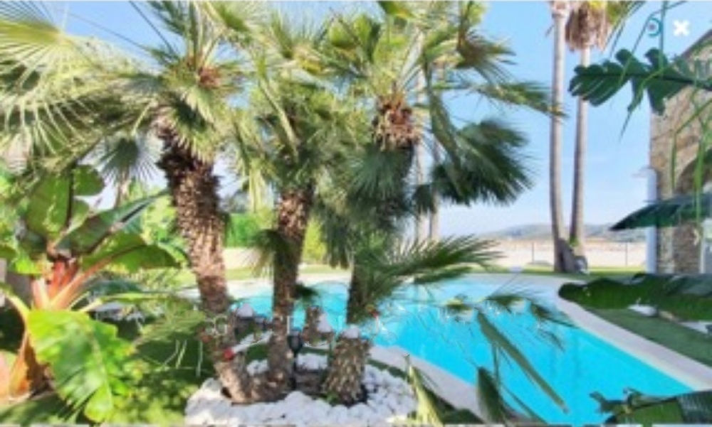 � vendre  Maison Mandelieu-la-Napoule (06210)