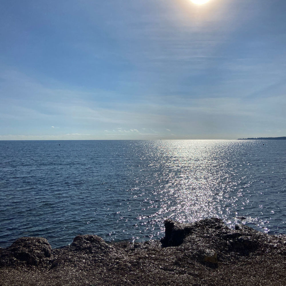 � vendre  Appartement Cannes (06400)