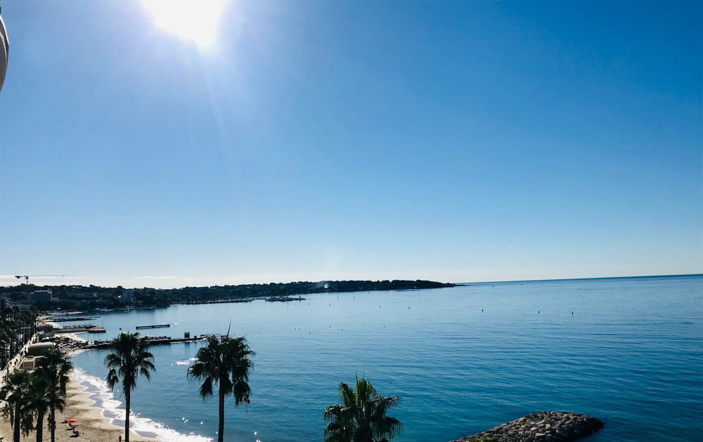 � vendre  Appartement Juan Les Pins (06160)