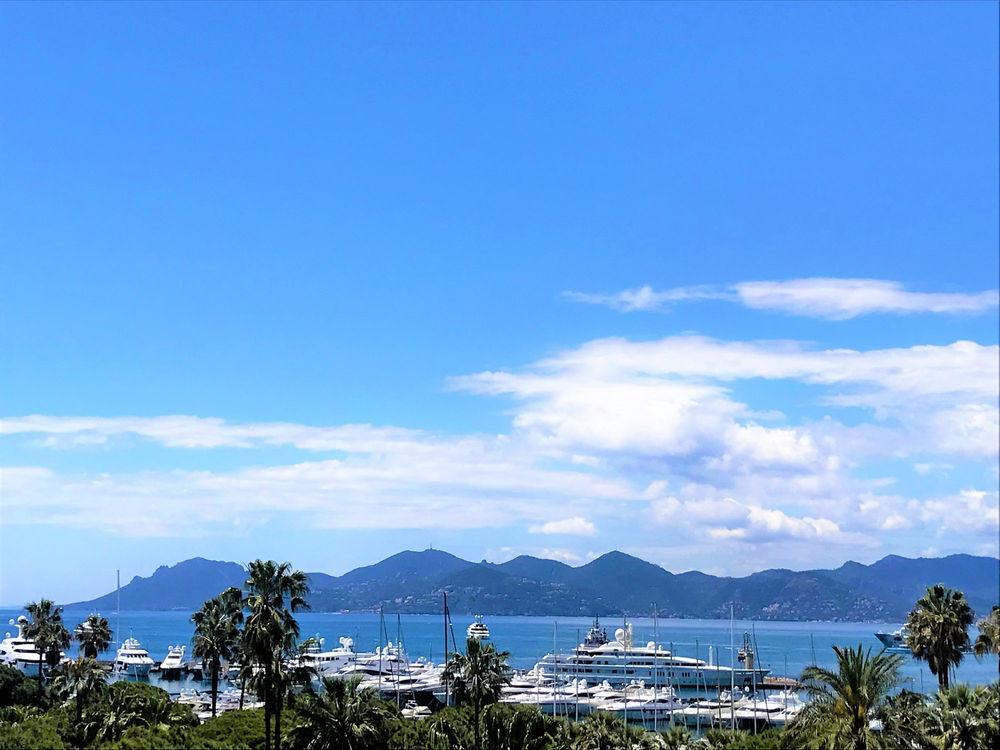 � vendre  Appartement Cannes (06400)