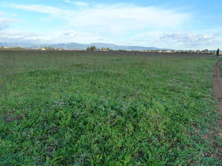  Terrain � vendre 4795 m�